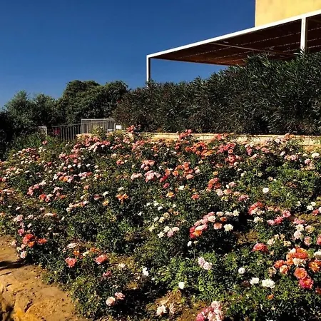 דירה Graffeo-haeuser Haus Der Rosen By Interhome מנפי